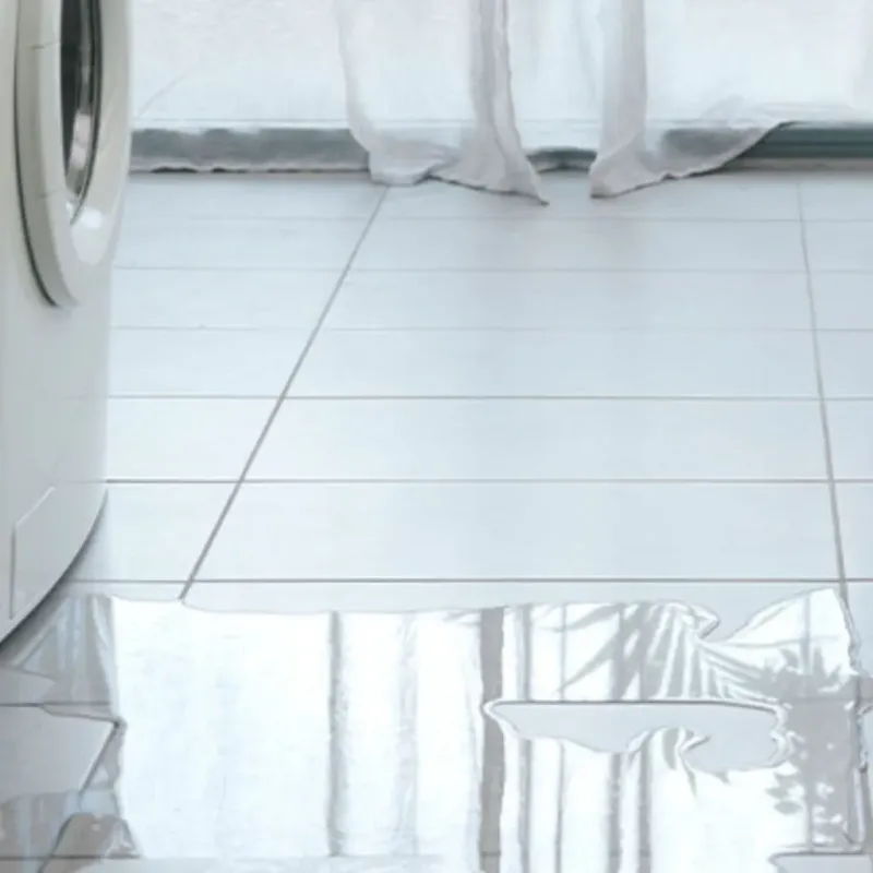 Appliance Leak Cleanup in Payson, IL