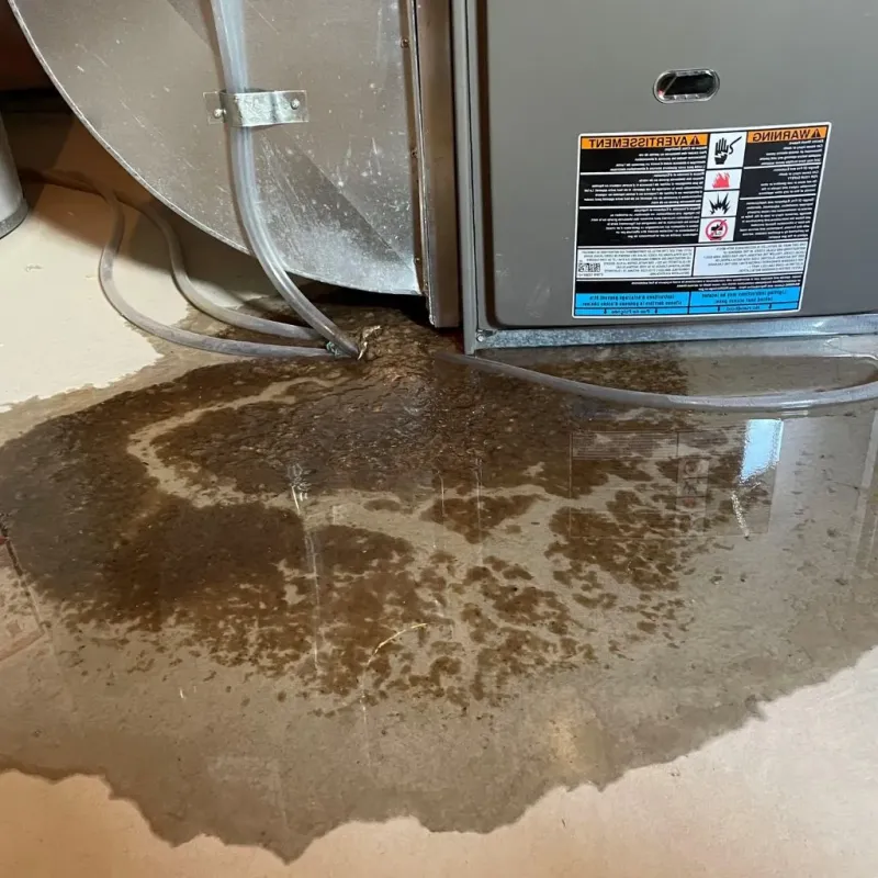 Pipe Burst and Leak Restoration in Payson, IL