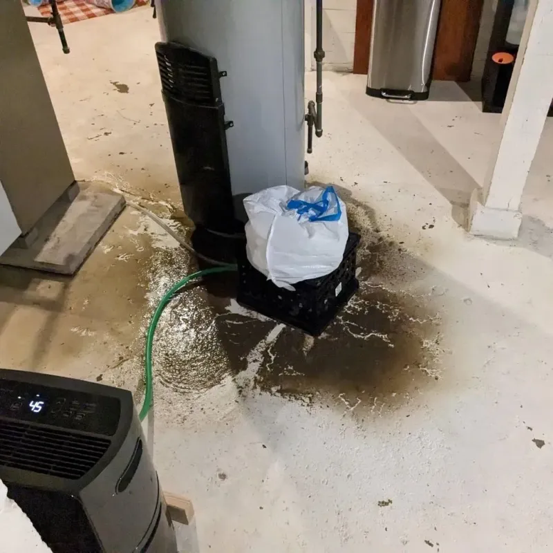 Sewage Backup Cleanup Service in Payson, IL